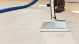 Carpet cleaning wand head gliding over a light carpet during hot-water extraction, Omaha, NE.
